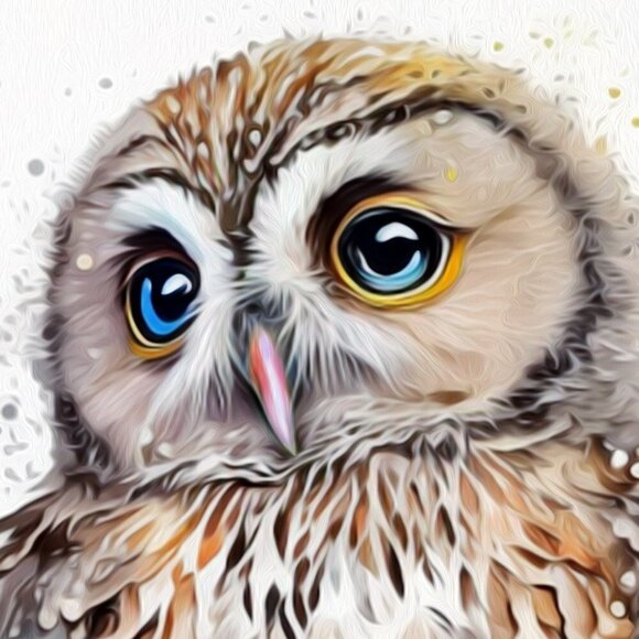 16x20 Owl Watercolor Oil Painting‎ Wall Art Poster - Picture 4 of 6